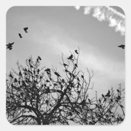 Adesivo Quadrado Caminho de Voo