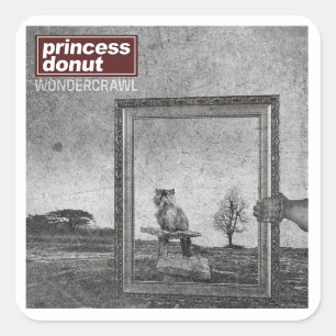 Adesivo Quadrado Camisa Wondercrawl da Princess Donut