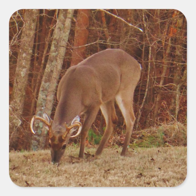 Adesivo Quadrado Camuflagem de carvalho vermelho Saco de carne de v (Frente)