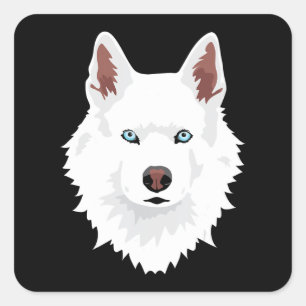 Adesivo Quadrado Cana-De-Neve Branca Siberiana - Cão-De-Neve Branc