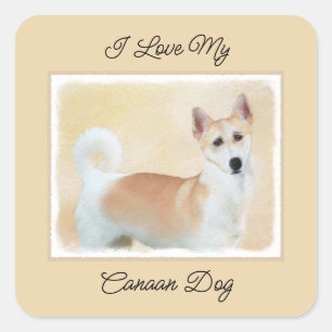 Adesivo Quadrado Canaan Dog Painting - Arte de Cachorro Original