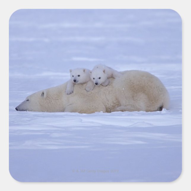 Adesivo Quadrado Canadá (Frente)