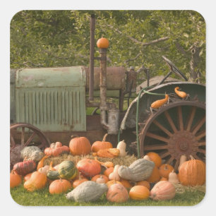 Adesivo Quadrado CANADÁ, British Columbia, Keremeos. Outono / 2