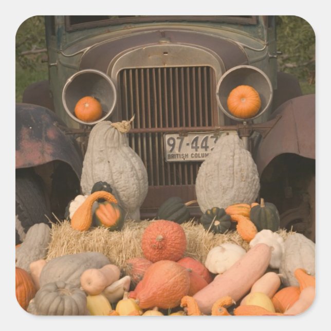 Adesivo Quadrado CANADÁ, Colúmbia Britânica, Keremeos. Outono / (Frente)