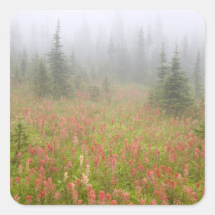 Adesivo Quadrado Canadá, Colúmbia Britânica, Nacional Revelstoke