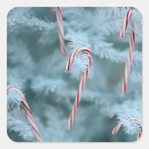 Adesivo Quadrado Candy Cane na Árvore