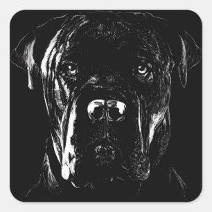 Adesivo Quadrado Cane Corso Arte: mastim italiano