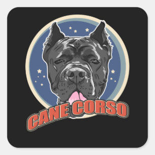 Adesivo Quadrado Cane Corso Italiano   Cane Corsos