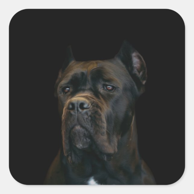 Adesivo Quadrado Cane Corso - Mastiff Italiano (Frente)