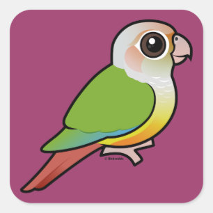 Adesivo Quadrado Canela Conure Verde-cheeked de Birdorable