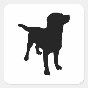 Adesivo Quadrado Canina Silhouette