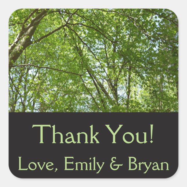 Adesivo Quadrado Canopia de Primavera deixa cena ecológica (Frente)