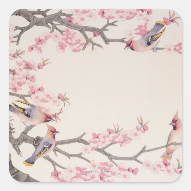 Adesivo Quadrado Cantando Pássaros em Primavera (Frente)