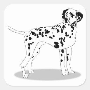 Adesivo Quadrado Cão