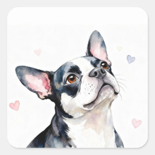 Adesivo Quadrado Cão Boston Terrier com Corações