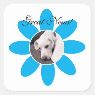 Adesivo Quadrado Cão Cachorro Branco Cachorro de flor Azul Doce Sq