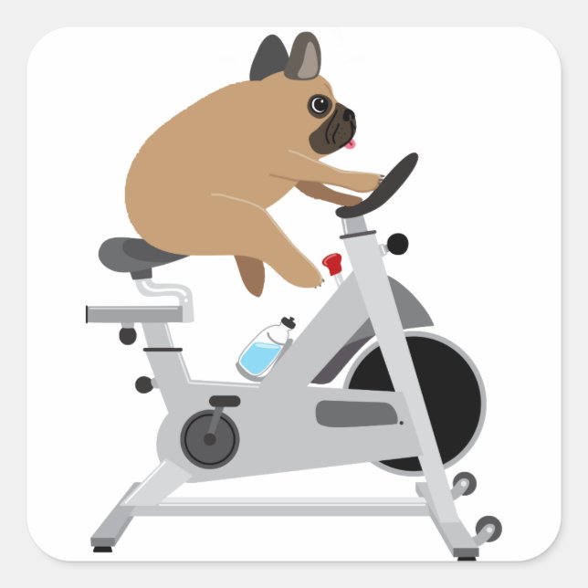 Adesivo Quadrado Cão Cansado (Frente)