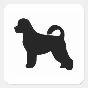 Adesivo Quadrado cão de água portugese silhouette.png