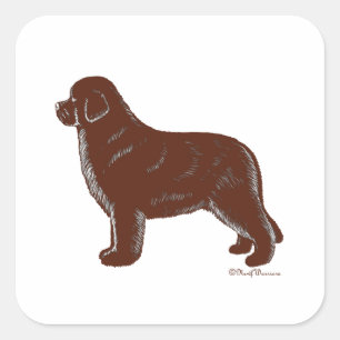 Adesivo Quadrado Cão de Brown Terra Nova
