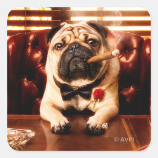 Adesivo Quadrado Cão de lagosta