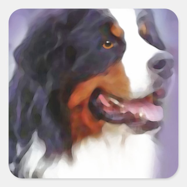 Adesivo Quadrado cão de montanha bernês (Frente)