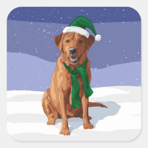 Adesivo Quadrado Cão de Natal do Fox Red Labrador