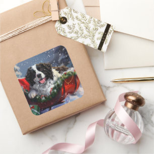 Adesivo Quadrado Cão de Terra Nova Natal Festivo