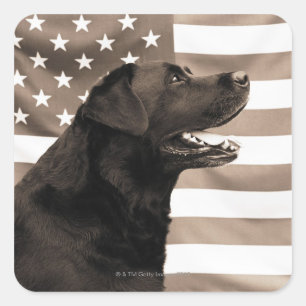 Adesivo Quadrado Cão e bandeira americana