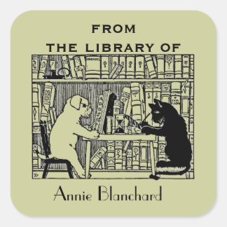 Adesivo Quadrado Cão e Gato na Biblioteca