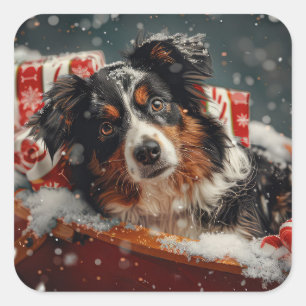 Adesivo Quadrado Cão Pastor Australiano Natal Festivo