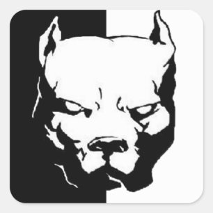 Adesivo Quadrado Cão Pitbull