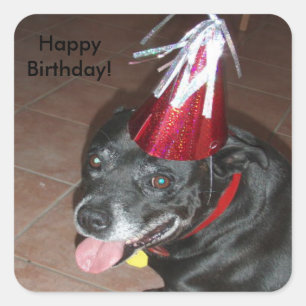 Adesivo Quadrado Cão preto de feliz aniversario com Red Hat