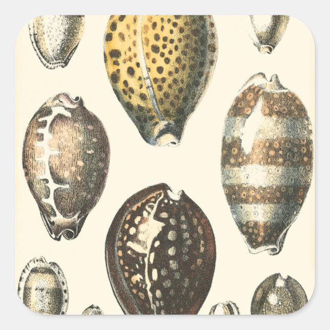 Adesivo Quadrado Capas de Costura Uniformes (Frente)