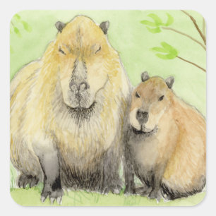Adesivo Quadrado Capybara