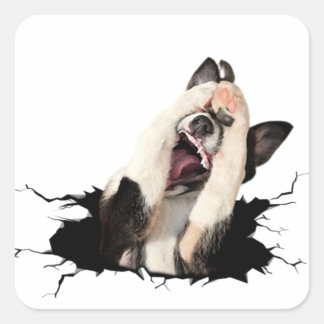 Adesivo Quadrado Cara de cão estranho (Frente)