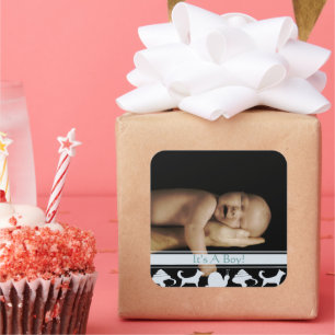 Adesivo Quadrado Caracóis Caracóis e Cachorros Cachorros Cachorros 