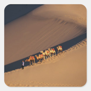 Adesivo Quadrado Caravana no deserto, Dunhuang do camelo, Gansu