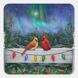 Adesivo Quadrado Cardinhos e Luzes de Natal Neve de inverno