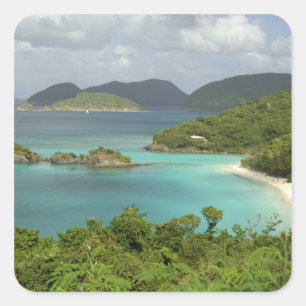 Adesivo Quadrado Caribe, Ilhas Virgens dos EUA, St. John, Tronco