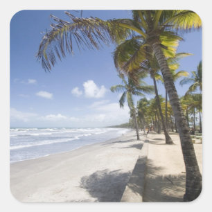 Adesivo Quadrado Caribe - Trinidad - Praia Manzanilla ativada