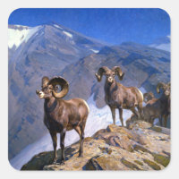 Carl Rungius Big Horn Sheep no Wilcox Pass