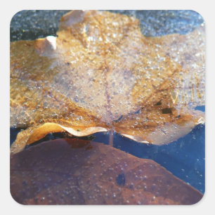 Adesivo Quadrado Carpintaria Amarelo Congelada Folha de outono