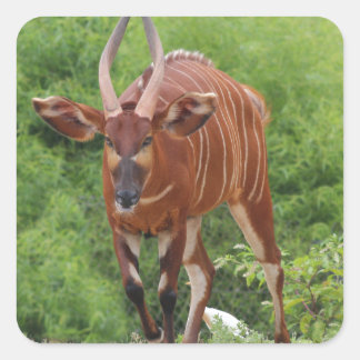 Adesivo Quadrado Carregando