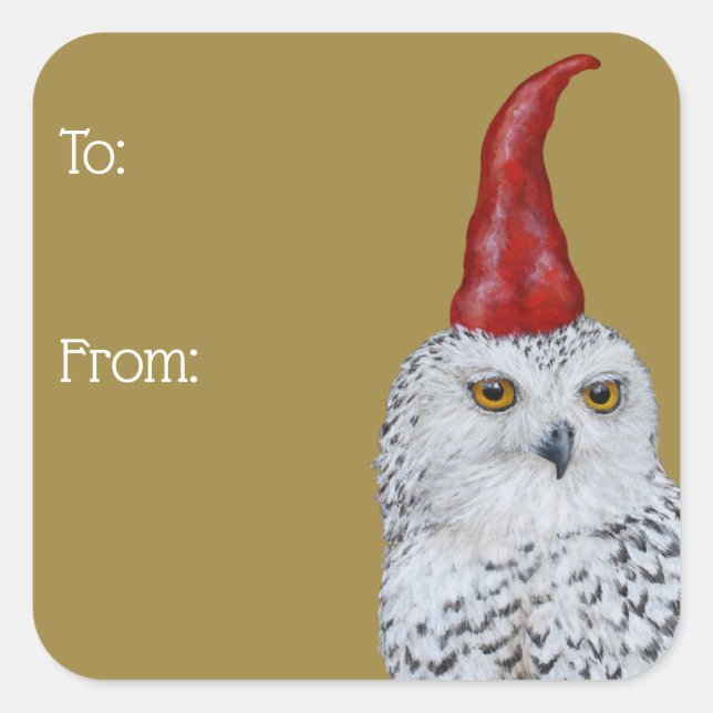 Adesivo Quadrado Carrossel de empacotamento de presentes da Owl Gno (Frente)