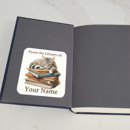 Adesivo Quadrado Cartaz com Gato nos Livros