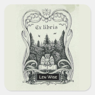 Adesivo Quadrado Cartaz da Floresta do Livro de Corujas Editável