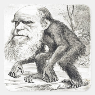 Adesivo Quadrado Cartoon Editorial De Charles Darwin 1871