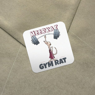 Adesivo Quadrado Cartoon Engraçado Meerkat Gym Rat Engraçado