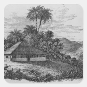 Adesivo Quadrado Casa de planter no Brasil