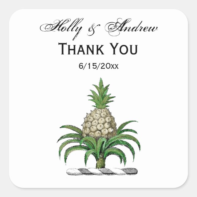 Adesivo Quadrado Casaco de Ananás Herádico de Pré-Papoeira (Frente)